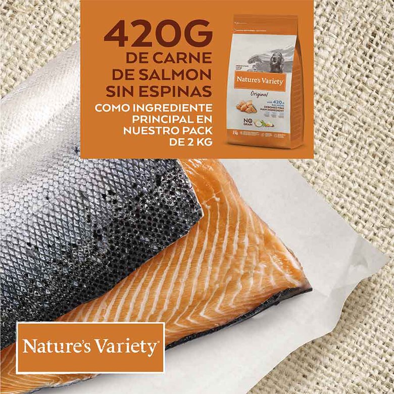 Nature's Variety Original Adult Medium Salmón pienso para perros, , large image number null